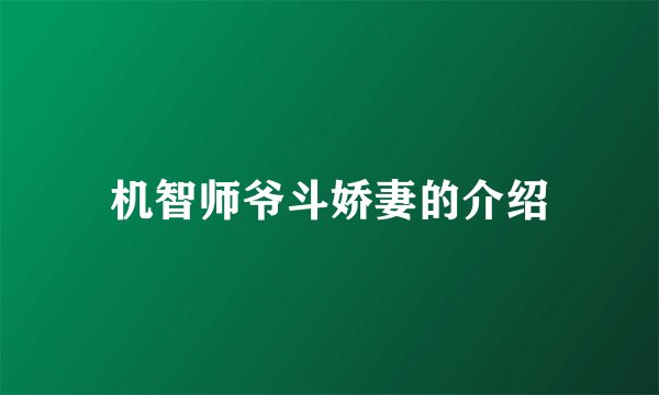 机智师爷斗娇妻的介绍