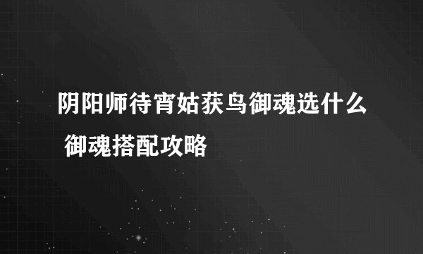阴阳师待宵姑获鸟御魂选什么 御魂搭配攻略