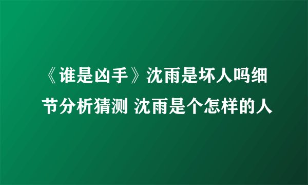 《谁是凶手》沈雨是坏人吗细节分析猜测 沈雨是个怎样的人