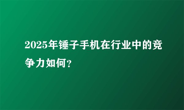 2025年锤子手机在行业中的竞争力如何？