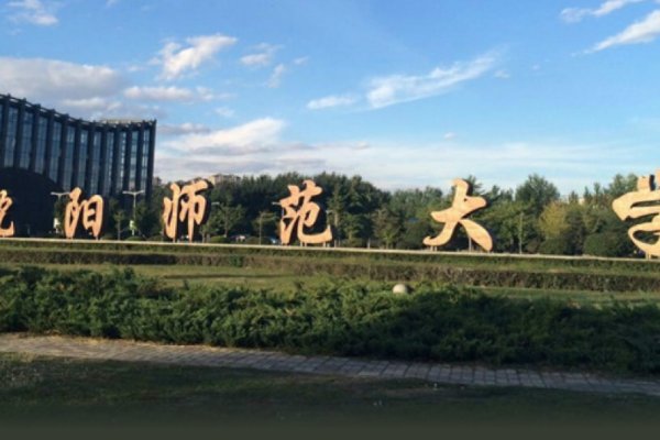 沈阳师范大学美术生录取分数线2023