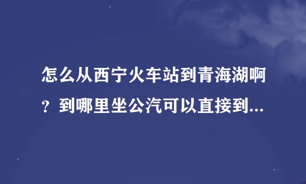 怎么从西宁火车站到青海湖啊？到哪里坐公汽可以直接到景区大门口啊？