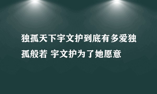 独孤天下宇文护到底有多爱独孤般若 宇文护为了她愿意