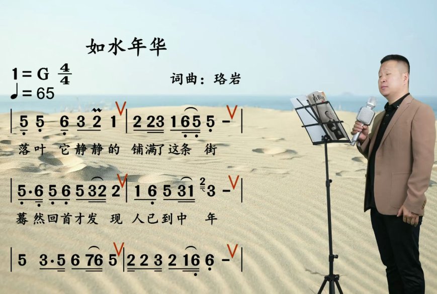 歌曲落叶它静静的铺满这条街歌词