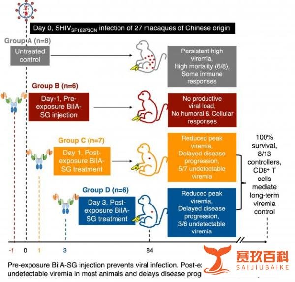 香港大学在预防及功能性治愈艾滋病上取得重要突破