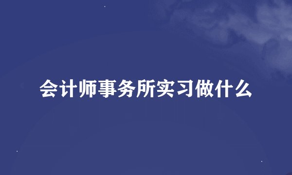 会计师事务所实习做什么