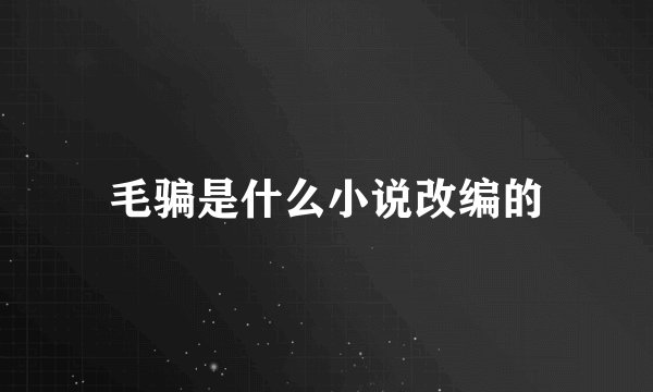 毛骗是什么小说改编的