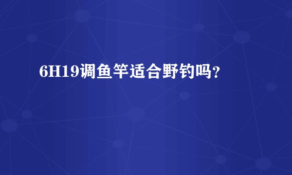 6H19调鱼竿适合野钓吗？