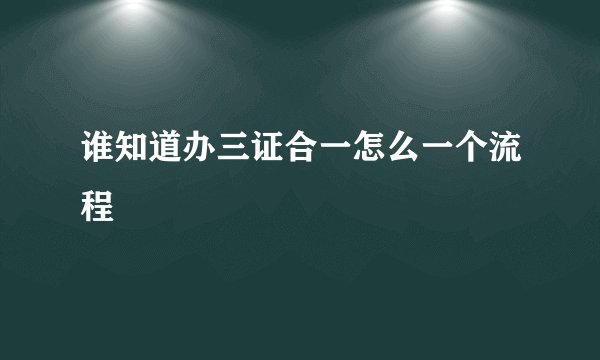 谁知道办三证合一怎么一个流程