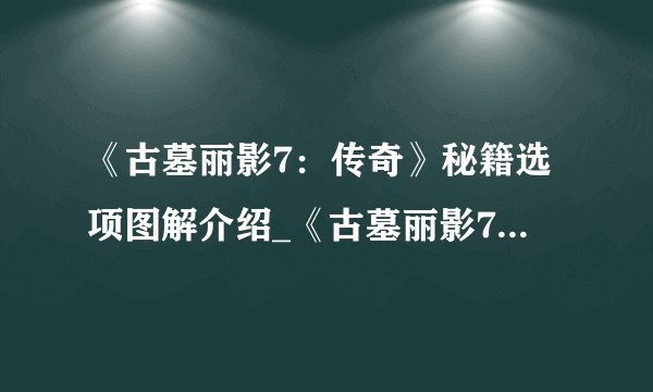 《古墓丽影7：传奇》秘籍选项图解介绍_《古墓丽影7：传奇》秘籍选项图解是什么