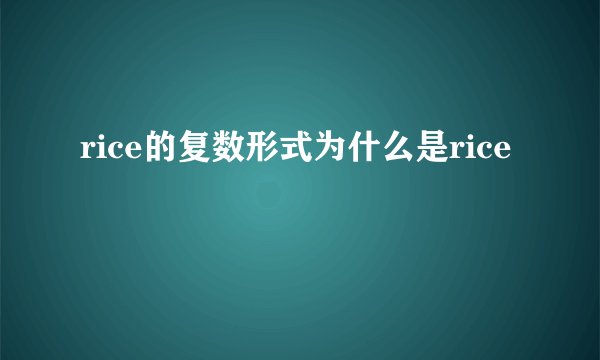 rice的复数形式为什么是rice