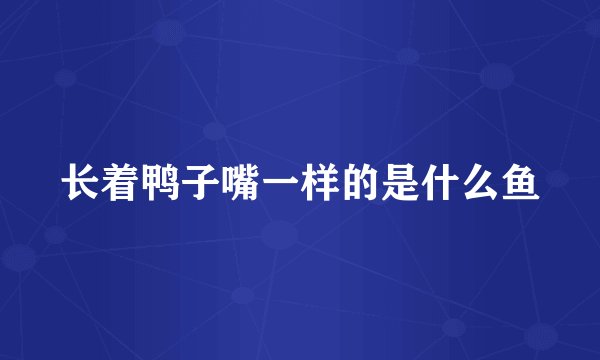 长着鸭子嘴一样的是什么鱼