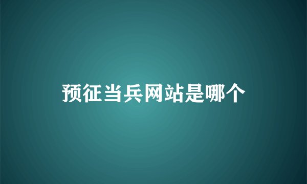 预征当兵网站是哪个