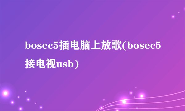 bosec5插电脑上放歌(bosec5接电视usb)