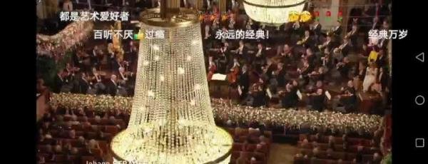 老约翰·施特劳斯《拉德斯基进行曲》 音乐里的故事105