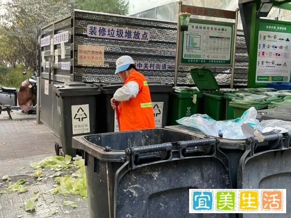 新白菜剁碎凑厨余，根本原因还是因为这个……