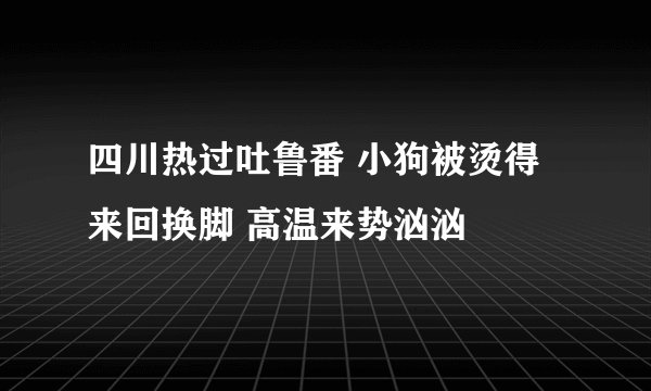 四川热过吐鲁番 小狗被烫得来回换脚 高温来势汹汹