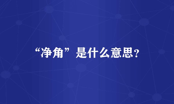 “净角”是什么意思？