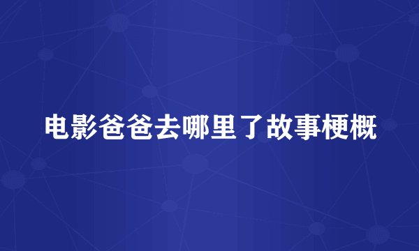 电影爸爸去哪里了故事梗概