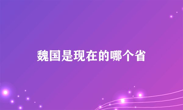 魏国是现在的哪个省