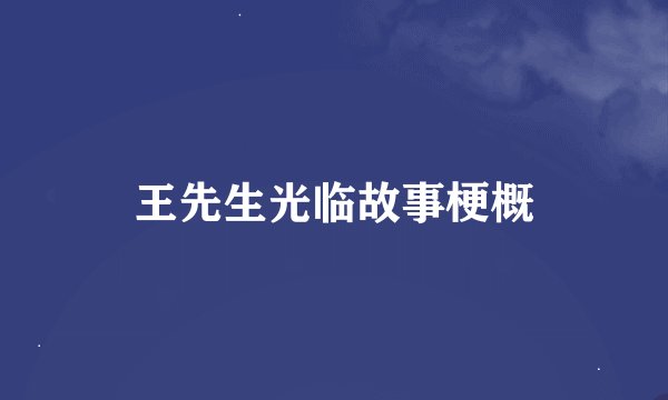 王先生光临故事梗概