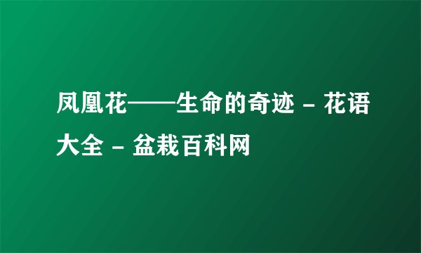 凤凰花——生命的奇迹 - 花语大全 - 盆栽百科网