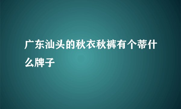 广东汕头的秋衣秋裤有个蒂什么牌子