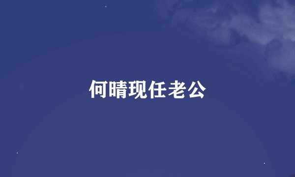何晴现任老公