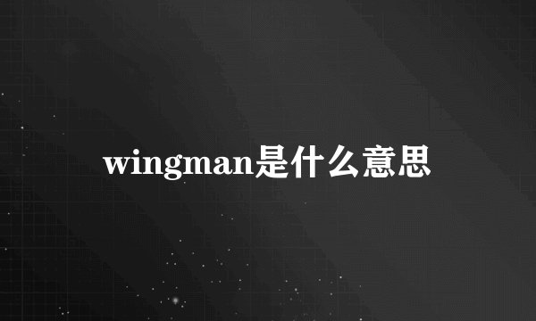 wingman是什么意思