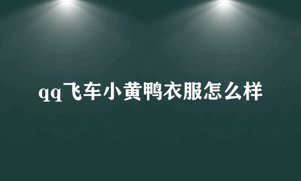 qq飞车小黄鸭衣服怎么样