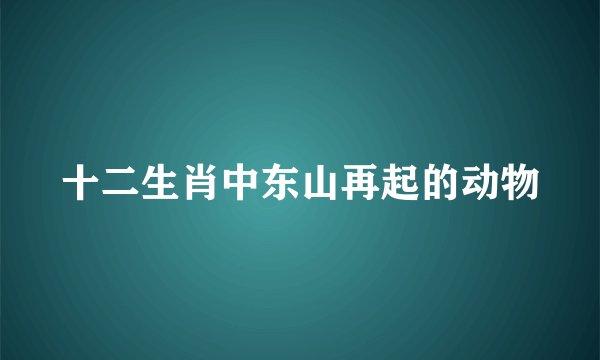 十二生肖中东山再起的动物