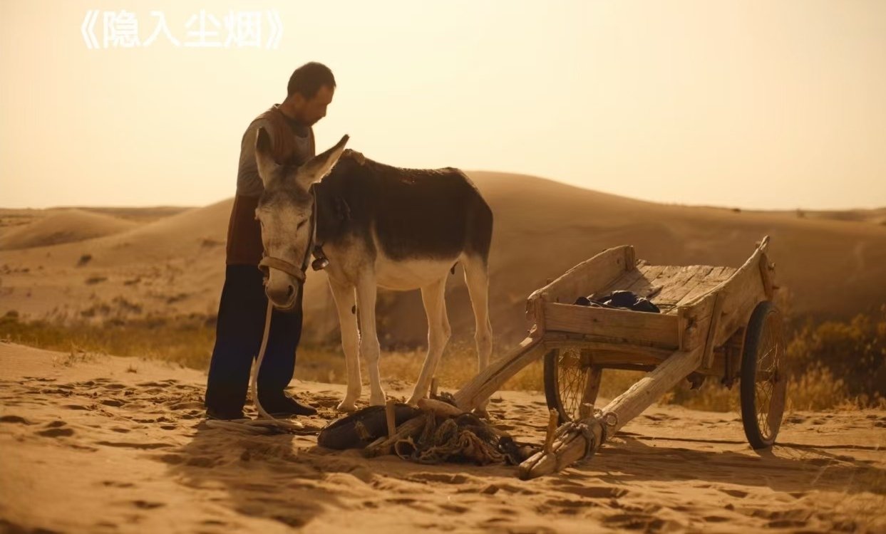 请问《隐入尘烟》讲的是什么事情啊？