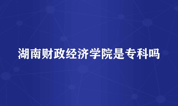 湖南财政经济学院是专科吗