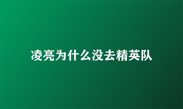凌亮为什么没去精英队