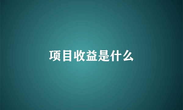 项目收益是什么