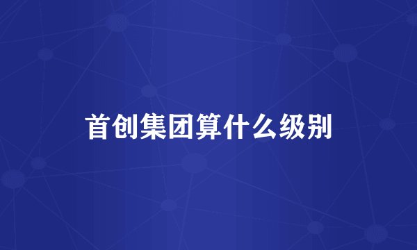 首创集团算什么级别