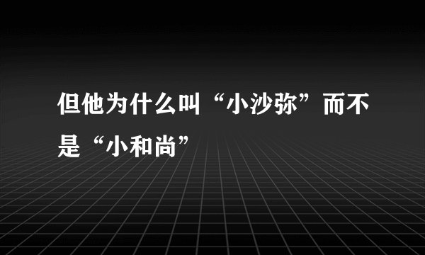 但他为什么叫“小沙弥”而不是“小和尚”