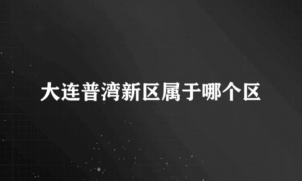 大连普湾新区属于哪个区