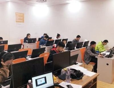 双减后素质类培训企业暴增，你如何看待这一现象？