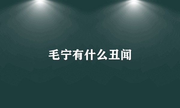 毛宁有什么丑闻