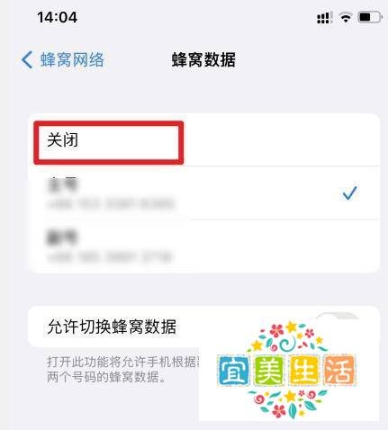 苹果手机的流量开关在哪里