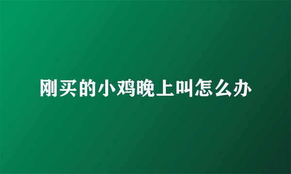 刚买的小鸡晚上叫怎么办