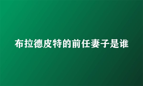 布拉德皮特的前任妻子是谁