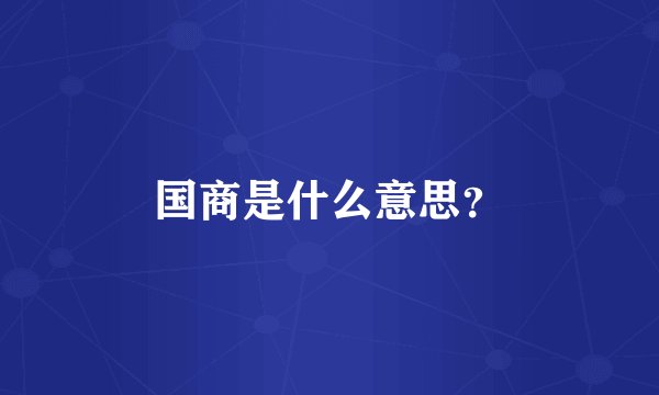 国商是什么意思？