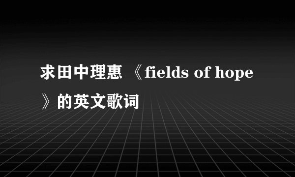 求田中理惠 《fields of hope》的英文歌词