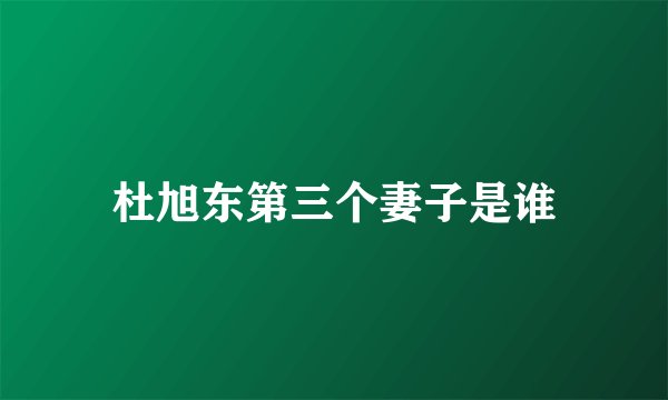 杜旭东第三个妻子是谁