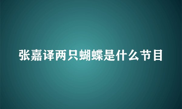 张嘉译两只蝴蝶是什么节目