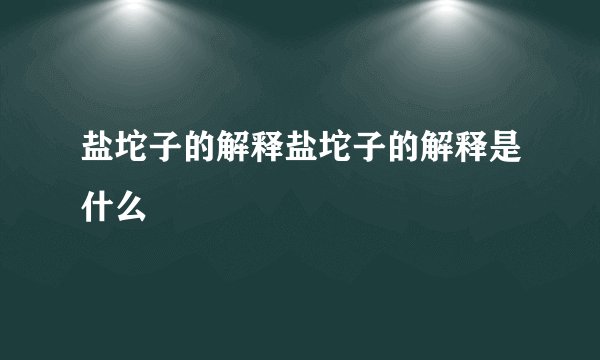 盐坨子的解释盐坨子的解释是什么