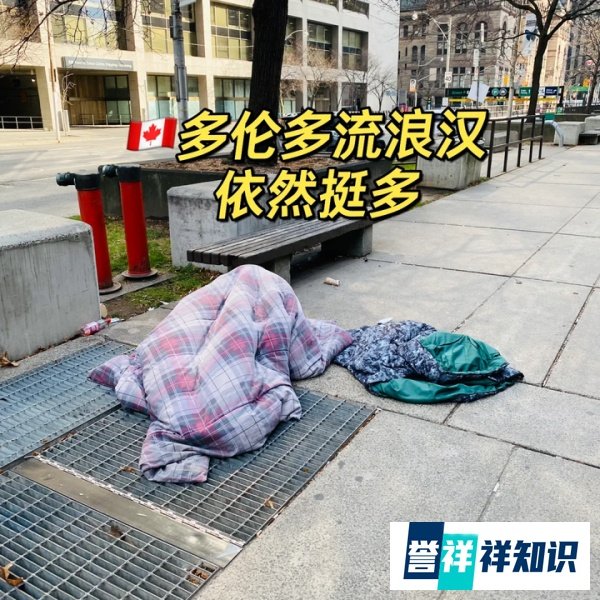 月薪7万洗碗、街头全是流浪汉，加拿大生活真比你想的舒服吗？