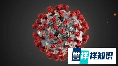实锤！新冠病毒可由物传人！冷冻海鲜还能吃吗？